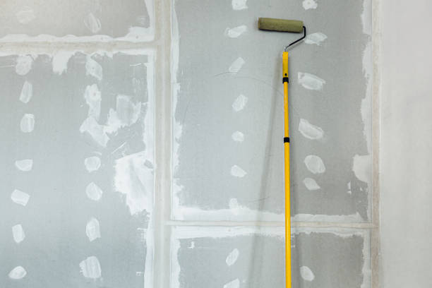 Reliable El Portal, FL Mold Removal Solutions