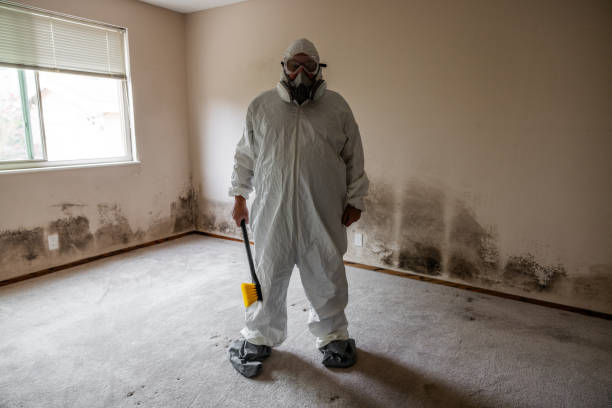 Best Mold Removal for HVAC Installations  in El Portal, FL