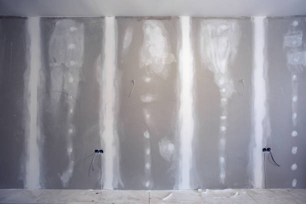 Best Asbestos and Lead Testing During Mold Inspection  in El Portal, FL